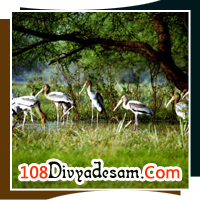 Mangalavanam Bird Sanctuary, Kochi, Kerala